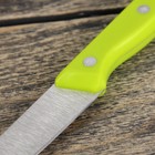 Нож для овощей кухонный Доляна «Палитра», лезвие 8 см, цвет МИКС - Фото 3