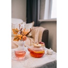 Заварочный чайник «Эко. Бабл», 800 мл, 18×13.5×12.5 см, с бамбуковой крышкой, металлический фильтр, стекло, прозрачный - Фото 7