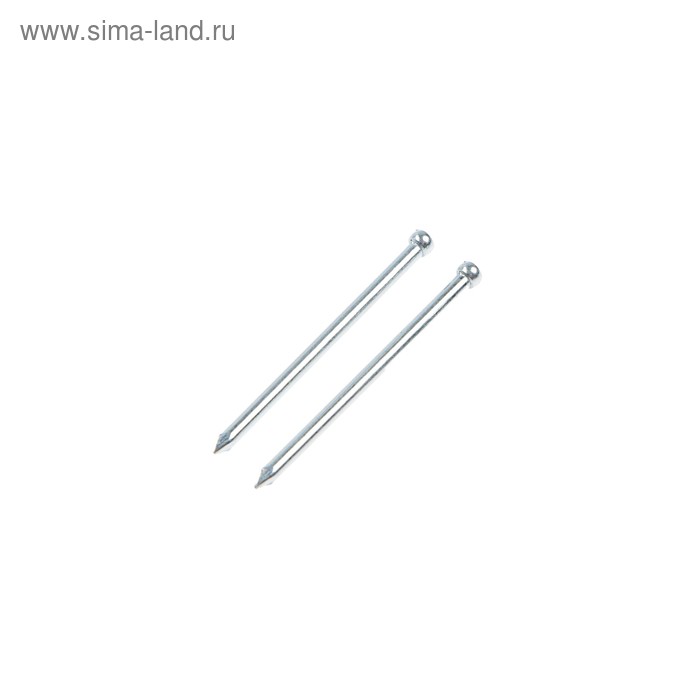 Гвозди СТРОЙБАТ, финишные, ГОСТ 7811-7035, оцинкованные, 1.6×30 мм, 0.1 кг - Фото 1