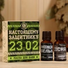 Набор «Настоящему защитнику» 2 масла 15 мл в коробке - Фото 1