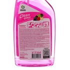 Средство для мытья стёкол и зеркал Clean Glass «Лесные ягоды», 600 мл - Фото 2