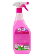 Средство для мытья стёкол и зеркал Clean Glass «Лесные ягоды», 600 мл - Фото 8