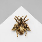 Брошь «Муха» крупная, цвет тёмно-синий в чернёном золоте - Фото 3