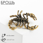 Брошь «Скорпион», цвет чёрный в чернёном золоте - Фото 1