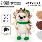 Валяние из шерсти. Игрушка «Ёжик в шапочке», набор для творчества - Фото 1