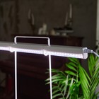 Фитосветильник светодиодный Uniel, 10 Вт, 560 мм, IP40, 220В, полноспектр, c выкл, прозрачный - Фото 1