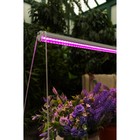 Фитосветильник для растений Uniel, светодиодный, 11 Вт, 572 мм, IP20, 220 В, с выключателем, мультиспектральный - Фото 12