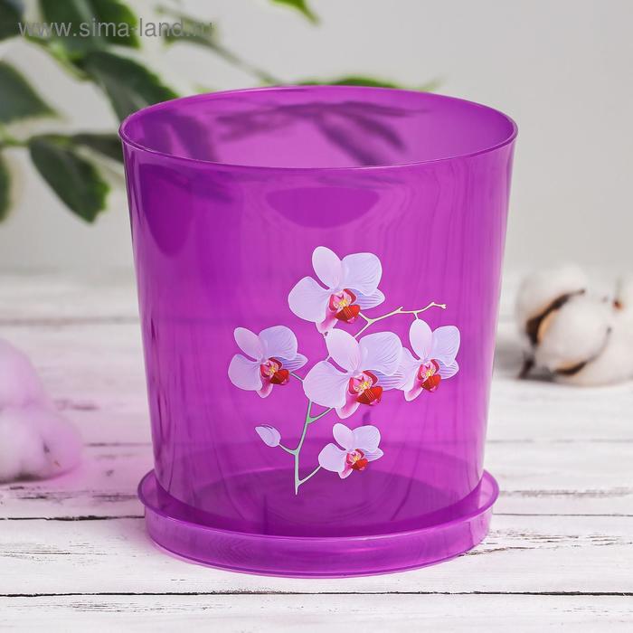 Горшок для орхидей с поддоном «Декор», 1,8 л, цвет прозрачно-фиолетовый - Фото 1
