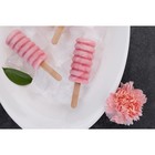 Форма для мороженого Доляна «Моника», силикон, 19.5×11 см, 4 ячейки (6.7×3.2 см), МИКС - Фото 16