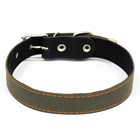 Ошейник брезентовый с подкладом, 72×3.5 см, ОШ 45-60 см, хаки - Фото 2