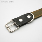 Ошейник брезентовый безразмерный двухслойный, 72×3.5 см, ОШ 45-60 см, хаки - Фото 4