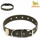Ошейник брезентовый безразмерный однослойный, 72×3.5 см, ОШ 45-60 см, хаки - Фото 2