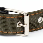 Ошейник брезентовый безразмерный однослойный, 72×3.5 см, ОШ 45-60 см, хаки - Фото 5