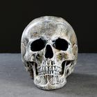 Ёршик для унитаза с подставкой «Череп», стальная ручка, 16×15×22 см, белый - Фото 10