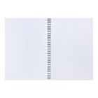 Тетрадь на спирали ErichKrause. Pastel А4, 80 листов, в клетку, пластиковая обложка, блок офсет, МИКС - Фото 10