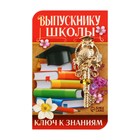Ключ сувенирный на Выпускной «Выпускнику школы», металл, 2 х 4,8 см - фото 11383239