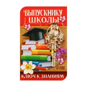 Ключ сувенирный «Выпускнику школы», металл, 2 х 4,8 см