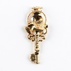 Ключ сувенирный на Выпускной «Выпускнику школы», металл, 2 х 4,8 см - Фото 4