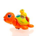 Развивающая игрушка «Черепашка с малышом», световые и звуковые эффекты, МИКС, в пакете - Фото 2