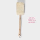 Мочалка для тела на ручке «Банька», 4×8×39 см, сизаль - фото 20565188