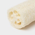 Люффа - мочалка для тела натуральная Доляна, 8×6×6 см, бежевая - Фото 3