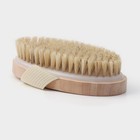 Щётка массажная для тела Доляна, с ручкой, натуральная щетина - Фото 3