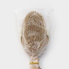 Щётка массажная для тела Доляна, с ручкой, натуральная щетина - Фото 11