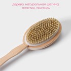 Щётка банная массажная для тела Доляна, с ручкой и массажёром, натуральная щетина - Фото 2