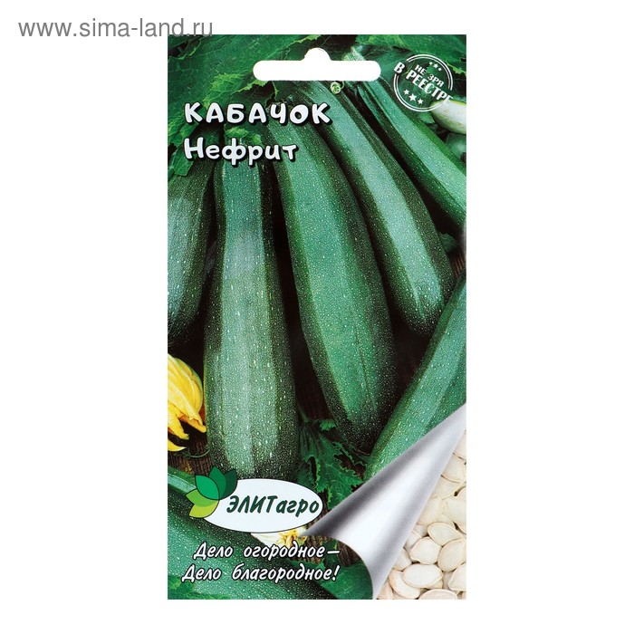 Кабачок Нефрит (10шт) купить в интернет-магазине RemontDoma