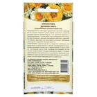 Семена цветов Хризантема махровая "Дуннети", смесь, 0,1 гр - Фото 2