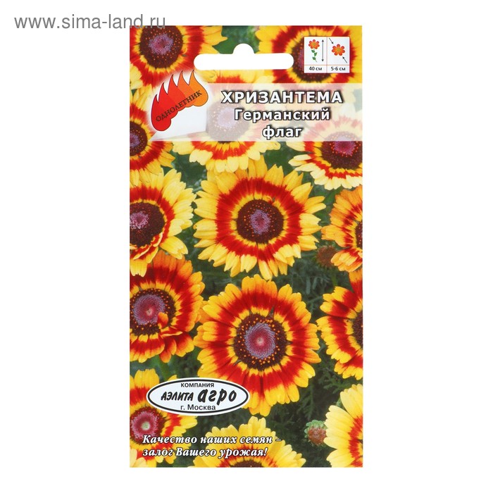 Семена цветов Хризантема "Германкский флаг", 0,1 гр - Фото 1