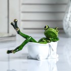 Сувенир полистоун "Лягушка релакс в ванной" 9х15 см - Фото 1