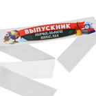 Лента с цветным нанесением «Выпускник начальной школы», 160 х 10 см - Фото 2