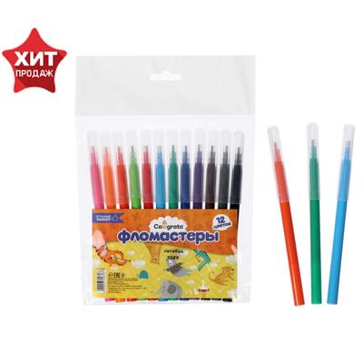 Фломастеры в подвесе 12 цветов