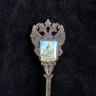 Ложка в форме герба «Саранск. Собор Святого Ушакова» 4064193 - фото 16613249