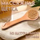 Щётка массажная для тела, из натуральной щетины, круглая, с ручкой, гладкая - Фото 1