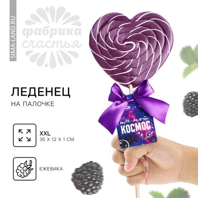 Леденец на палочке XXL «Ты мой космос»: сердце, ежевика, 120 г.