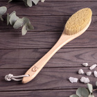 Щётка для сухого массажа Доляна, с ручкой, 38,5×7 см,щетина из тампик - Фото 1