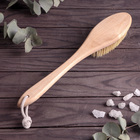 Щётка для сухого массажа Доляна, с ручкой, 38,5×7 см,щетина из тампик - Фото 3