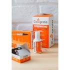 Корректор 18 мл Calligrata с кисточкой, на водной основе - Фото 7