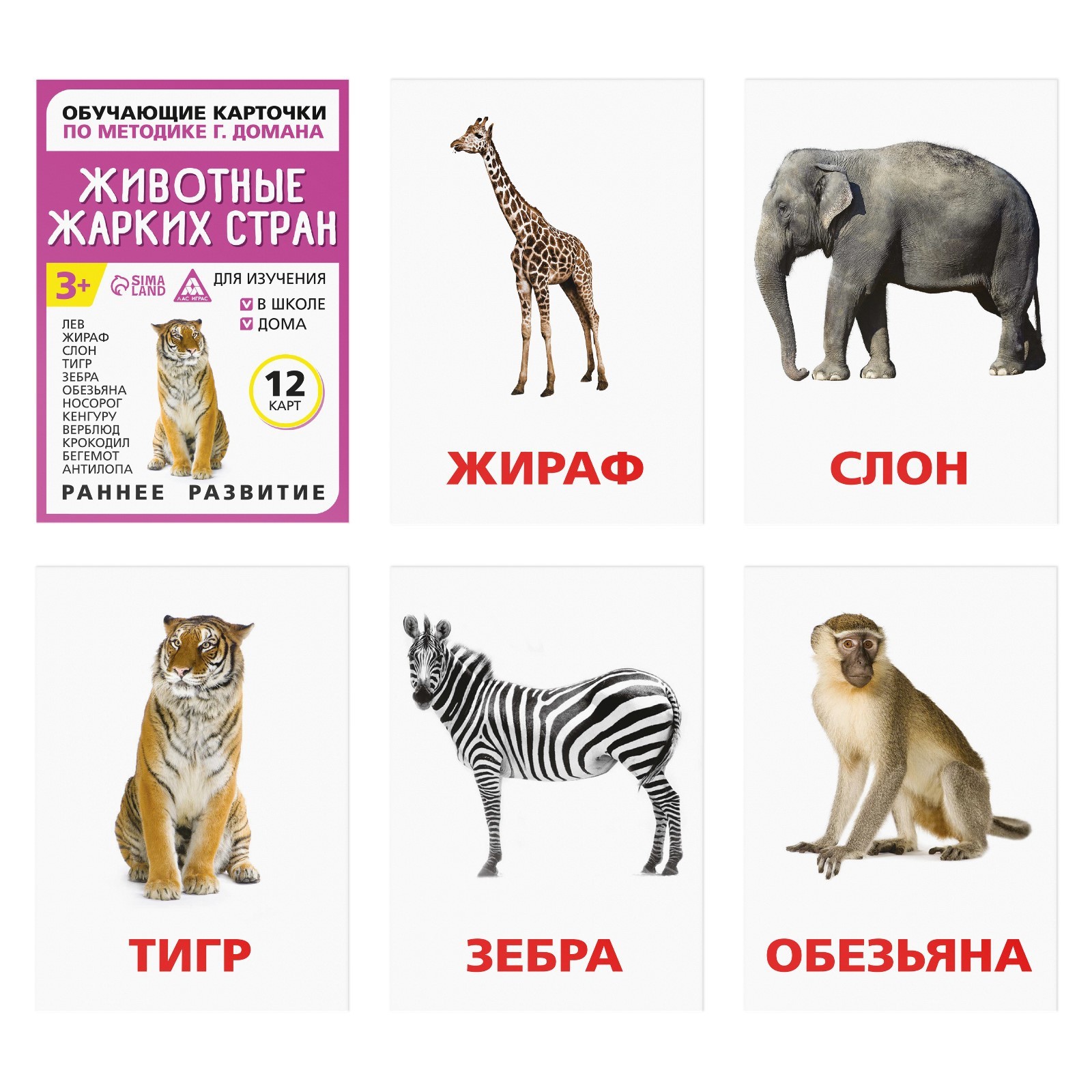 Обучающие карточки по методике Г. Домана «Мир вокруг нас», А6 МИКС  (4764818) - Купить по цене от 30.00 руб. | Интернет магазин SIMA-LAND.RU