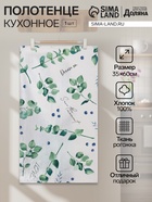 Полотенце кухонное «Доляна» Eucalyptus, 35×60 см, хлопок 100%, 164 г/м² - Фото 1