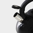 Чайник со свистком из нержавеющей стали Magistro Glow, 3 л, индукция, ручка soft-touch, цвет чёрный - Фото 4