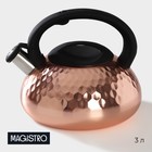 Чайник со свистком из нержавеющей стали Magistro Glow, 3 л, индукция, ручка soft-touch, цвет бронзовый - фото 4296023