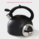 Чайник со свистком из нержавеющей стали Доляна Snow, 3 л, индукция, цвет чёрный - Фото 2