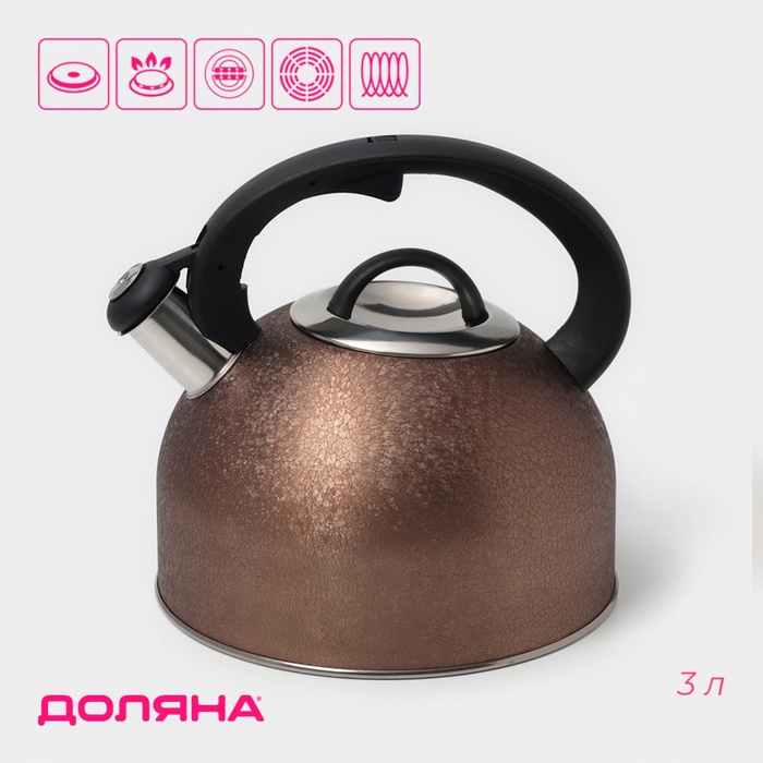 Чайник Доляна Snow, 3 л, со свистком, индукция, нержавеющая сталь, коричневый - Фото 1