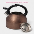 Чайник Доляна Snow, 3 л, со свистком, индукция, нержавеющая сталь, коричневый - Фото 2