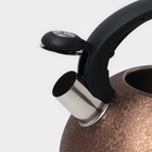 Чайник Доляна Snow, 3 л, со свистком, индукция, нержавеющая сталь, коричневый - Фото 3