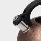 Чайник Доляна Snow, 3 л, со свистком, индукция, нержавеющая сталь, коричневый - Фото 4