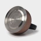 Чайник Доляна Snow, 3 л, со свистком, индукция, нержавеющая сталь, коричневый - Фото 5